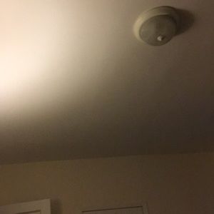 Meet your Posher, Diana